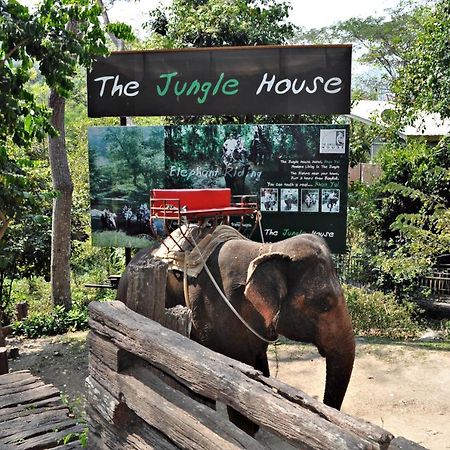 The Jungle House Khaoyai 호텔 무 시 외부 사진
